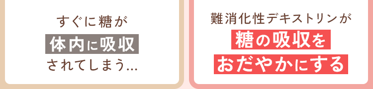 食後の血糖値の上昇をおだやかに